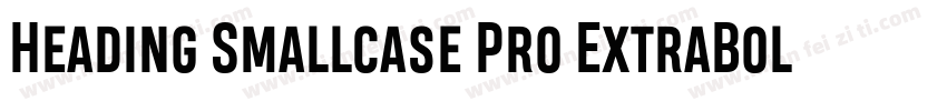 Heading Smallcase Pro ExtraBold字体转换